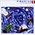 ザ・童謡ポップス(1)クリスマスと冬のうた集