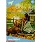 Books on Golden Retrievers