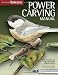 Power Carving Manual (Best of Woodcarving Illustrated)