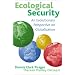 Ecological Security: An Evolutionary Perspective on Globalization