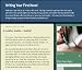 Writing Your First Novel