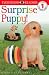 DK Readers: Surprise Puppy (Level 1: Beginning to Read) by Judith Hodge