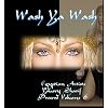Belly Dance Music : Greatest Egyptian Dance Music ~ Yousry  Sharif "Wash Ya Wash Volume 6"