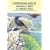 Birdwatching Guide to Menorca, Ibiza and Formentera