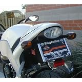 Buell LED Integrated Tail Light & Turn Signal Kit Clear (Firebolt Lightning 1125R... by AGT