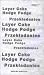 Layer Cake (Przekladaniec) [VHS]