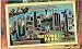 Greetings from Yosemite National Park: 20 Post Cards from the Past (Vintage Postcard) by The Parks Company