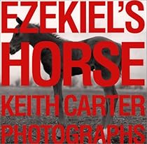  Ezekiel's Horse