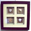 Ocean Tropical Sea Shell Seashell Starfish Wall Art