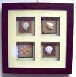 Ocean Tropical Sea Shell Seashell Starfish Wall Art