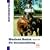 Western Basics. Die Grundausbildung