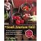 Awesome Ethnic Cookbooks