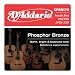 D'Addario EPBB170 Phosphor Bronze Acoustic Bass Strings, Long Scale, 45-100