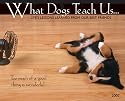 What Dogs Teach Us 2007 Calendar