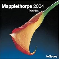 Mapplethorpe Flowers 2004 Calendar