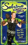 NOW YOU SEE HER, NOW YOU DON'T: SABRINA, THE TEENAGE WITCH #16 (Sabrina The Teenage Witch)