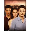 Ravensburger 19047 - Twilight 1000 Teile Puzzle