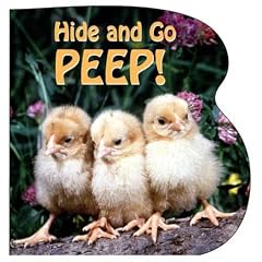Hide And Go Peep