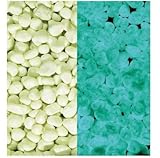 畜光石　シャインストーンLサイズ（1.0kg入）　スカイグリーン