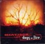 Days Of Fire