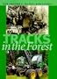 Tracks in the Forest: The Evolution of Logging Machinery