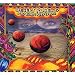 Desert Roses and Arabian Rhythms