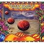 Desert Roses and Arabian Rhythms