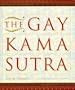 The Gay Kama Sutra