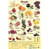An Apple A Day Keeps The Dentist Away 5-a-day Fruit Children's Educational Poster 40x60cm