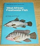 West African freshwater fish
