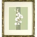Bamboo on Sage A Wall Art - 16x18"