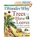 I Wonder Why Trees Have Leaves: And Other Questions About Plants