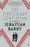 The temporary gentleman : a novel
