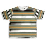 Dogwood - Boys Short Sleeve Striped Tee Shirt, Sage, Multi