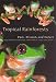 Tropical Rainforests: Past, Present, and Future