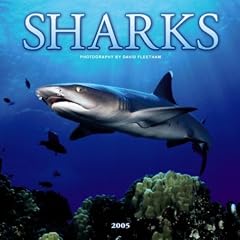 Sharks Wall calendar 2005