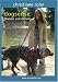 Image of Christiane Rohn - dogsense 'Hunde verstehen'