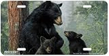 Bear Family - Wildlife Art Print - License Plate Tag By Hautman Brothers From Airstrike