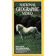 Buy National Geographic's Ballad of the Irish Horse [VHS]