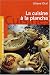 La cuisine à la plancha
