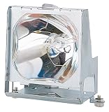 Electronics : InFocus - LCD projector lamp