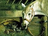Pferd + Katzen - Malen nach Zahlen - Alte Meister - 