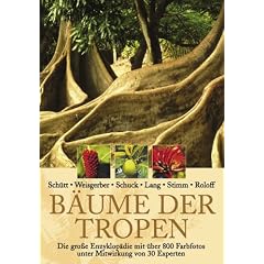 B�ume der Tropen