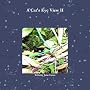 A Cat's Eye View II