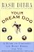 Book Your Dream Dog: A Guide To Choosing The Right Breed For You
