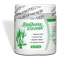 Stevina Natural Sweetener (25g powder)