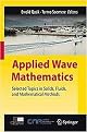 Applied Wave Mathematics (Hardcover)