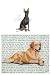 Toy Manchester Terrier Glass Cutting Board