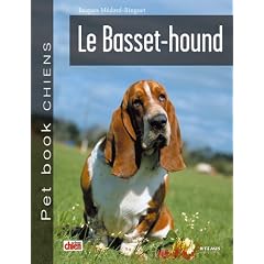 Basset- Hound (le)
