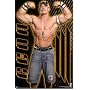 WWE (John Cena, Flexing) Sports Poster Print - 24" X 36"